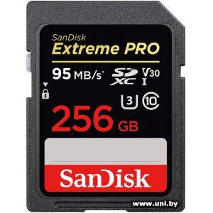 Купить SanDisk SDXC 256Gb [SDSDXXG-256G-GN4IN] под заказ 1 день в Минске, доставка по Беларуси