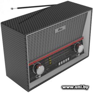 Купить RITMIX Радиоприемник [RPR-102 Black] в Минске, доставка по Беларуси