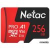 Netac micro SDXC 256Gb [NT02P500PRO-256G-R]