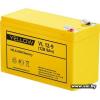 YELLOW VL 12-9 (12V, 9Ah, 5 лет, 2.5кг, 151х65х94(98)мм)