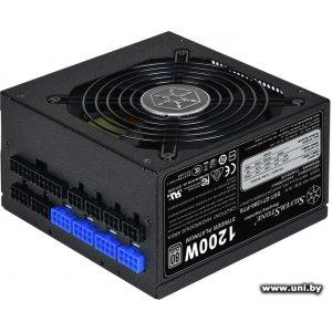 Купить SilverStone 1200W SST-ST1200-PTS Strider Platinum в Минске, доставка по Беларуси