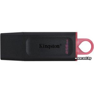 Купить Kingston USB3.x 256Gb [DTX/256GB] в Минске, доставка по Беларуси