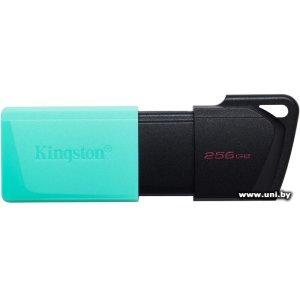 Купить Kingston USB3.x 256Gb [DTXM/256GB] в Минске, доставка по Беларуси