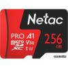 Netac micro SDXC 256Gb [NT02P500PRO-256G-S]