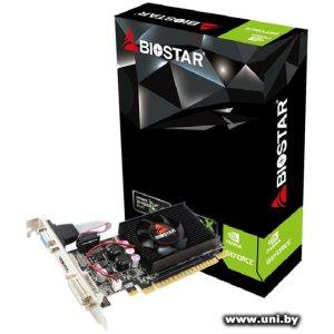 Купить Biostar 1Gb GT210 (VN2103NHG6) в Минске, доставка по Беларуси