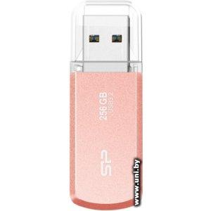 Silicon Power USB3.x 256Gb [SP256GBUF3202V1P]