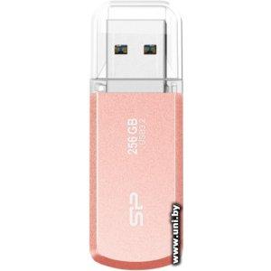 Купить Silicon Power USB3.x 256Gb [SP256GBUF3202V1P] в Минске, доставка по Беларуси