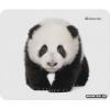 Defender Wild Animals (50803) Panda