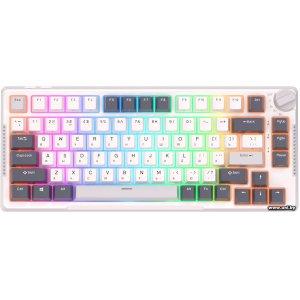 Купить Royal Kludge RK-H81 RGB White (RK Brown) в Минске, доставка по Беларуси