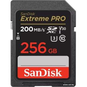 Купить SanDisk SDXC 256Gb [SDSDXXD-256G-GN4IN] в Минске, доставка по Беларуси