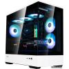 Zalman P30 BW Black/White