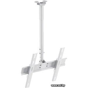 Holder PR-101 White (PR-101-W) 32`-65` 60kg