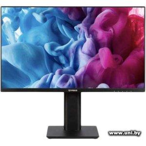 Купить IRBIS 23.8` MirView 24FIDS120_MIR в Минске, доставка по Беларуси