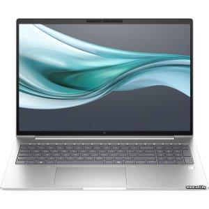 HP EliteBook 660 G11 (9C075EA)