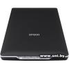 Epson Perfection V19