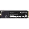 Digma 256Gb M.2 PCI-E SSD DGSM3256GP53T