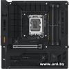 ASUS TUF Gaming B760M-BTF WiFi