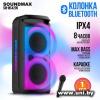 Soundmax SM-MS4209