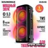 Soundmax SM-MS4205