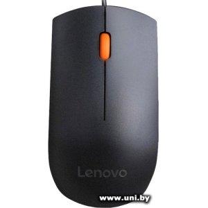 Lenovo 300 USB Mouse (GX30M39704)