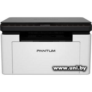 Pantum BM1800