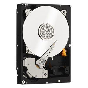 WD 4TB 3.5` SATA3 WD4000FYYZ