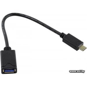 5bites USB 2.0 A - Type-C (TC304-02OTG)