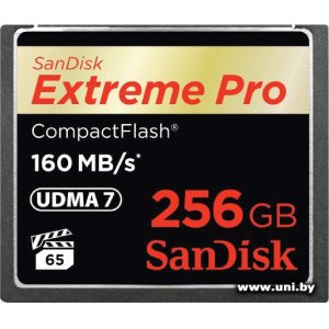 Купить SanDisk СF 256Gb [SDCFXPS-256G-X46] в Минске, доставка по Беларуси