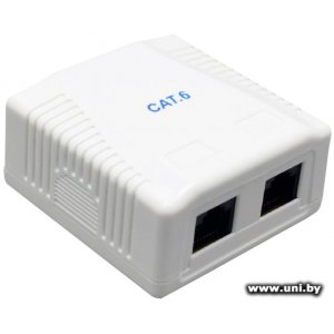 Gembird NCAC-2U6-01 cat6 2jack (экранированная)