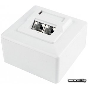 Gembird MWS-2S6-01 блок c 2xСat6 jack (экраниров