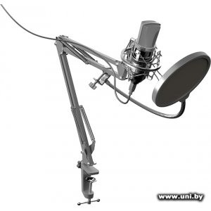 Купить RITMIX Микрофон [RDM-169 Black] в Минске, доставка по Беларуси