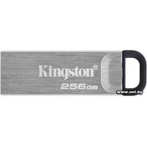 Kingston USB3.x 256Gb [DTKN/256GB]