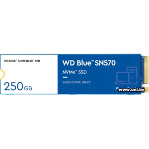 Купить WD 250Gb M.2 PCI-E SSD WDS250G3B0C в Минске, доставка по Беларуси