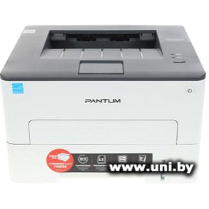 Pantum P3010D