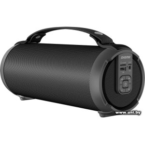 Купить Digma D-PS1520 Black в Минске, доставка по Беларуси