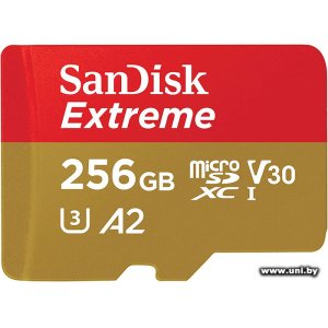 Купить SanDisk micro SDXC 256Gb [SDSQXAV-256G-GN6MN] в Минске, доставка по Беларуси