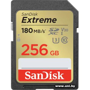 Купить SanDisk SDXC 256Gb [SDSDXVV-256G-GNCIN] в Минске, доставка по Беларуси
