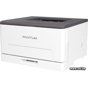Купить Pantum CP1100DN в Минске, доставка по Беларуси