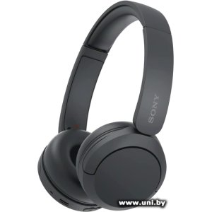 Купить SONY WH-CH520 Black в Минске, доставка по Беларуси