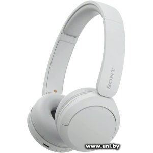 SONY WH-CH520 White