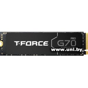 Team 2Tb M.2 PCI-E SSD TM8FFH002T0C129