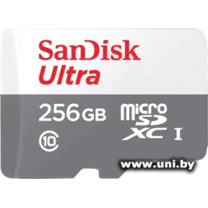 Купить SanDisk micro SDXC 256Gb [SDSQUNR-256G-GN3MN] в Минске, доставка по Беларуси
