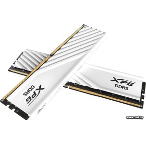 Купить DDR5 32G PC-48000 ADATA (AX5U6000C3016G-DTLABWH) в Минске, доставка по Беларуси
