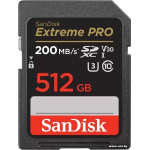Купить SanDisk SDXC 512Gb [SDSDXXD-512G-GN4IN] в Минске, доставка по Беларуси