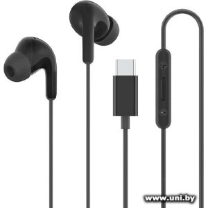 Xiaomi Type-C Earphones M2413E1 Black (BHR8930GL)