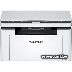 Pantum BM2300