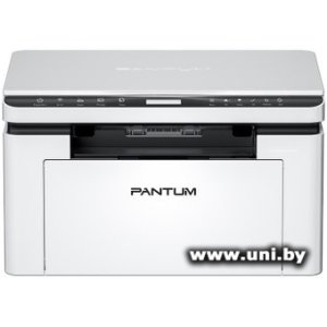 Pantum BM2300W