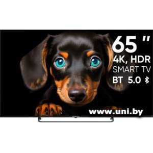 Купить Topdevice Ultra Neo CS06 (TDTV65CS06U_BK) в Минске, доставка по Беларуси