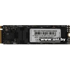 AMD 256Gb M.2 PCI-E SSD R3MP30256G8