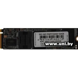 AMD 1Tb M.2 PCI-E SSD R3MP31024G8